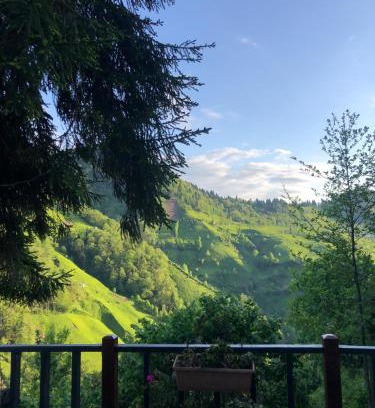 Ayder Chalet De Ski | Çamdibi Dağevi