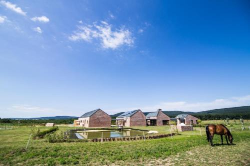 Szar Maison | Öregtölgy Vendégház