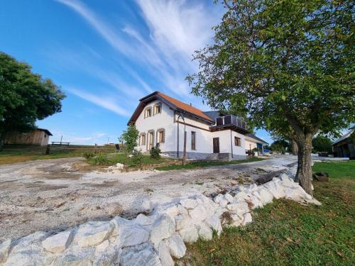 Cestin Maison | Čenovický dvůr