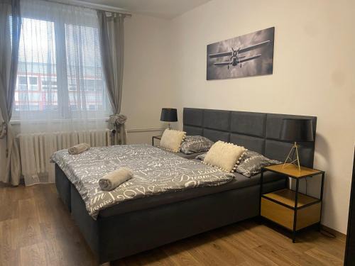 Plzen 2-Slovany Appartement | Černá Růže - Apartmán 3