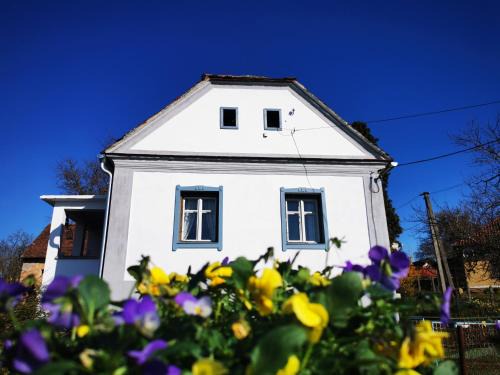 Hegyhatszentjakab Appartement | Őrség Kincse Udvarház
