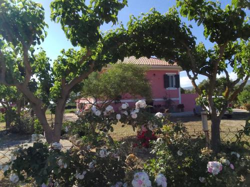 Kounopetra Maison | Μπλε του Ιονίου Ionian Blue