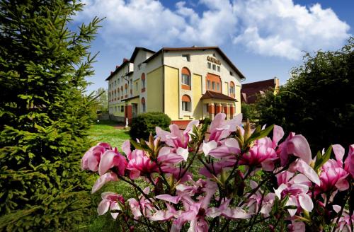 Truskavets Hôtel | Алексік