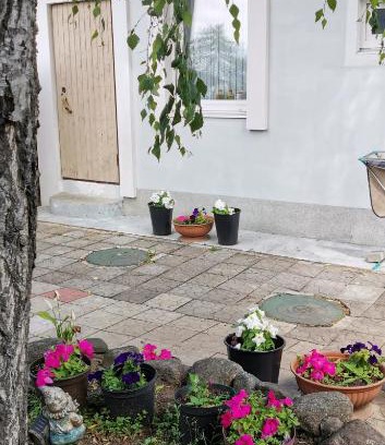 Kurortny District Appartement | Апартаменты в Песочном