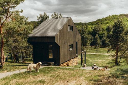 Kiev Oblast Maison | Будиночки для відпочинку ТРОХИ ДАЛІ