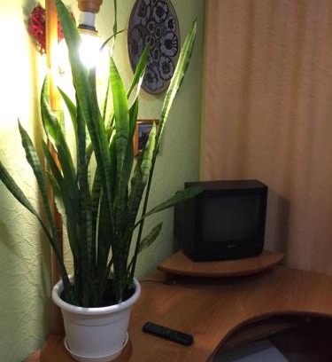 Ternopil Appartement | Бюджетные Комнаты посуточно 5мин McDonalds WI-FI 15мин до центра города