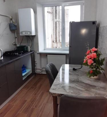 Kolomyya Appartement | Квартира в Коломиї