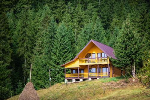 Verkhovyna Appartement | Котедж Forest house