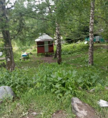 Osh Region Maison | Лесхоз