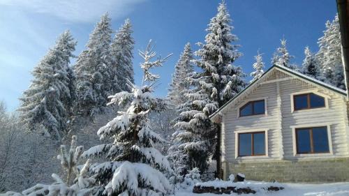 Yasinya Appartement | Шепіт лісу