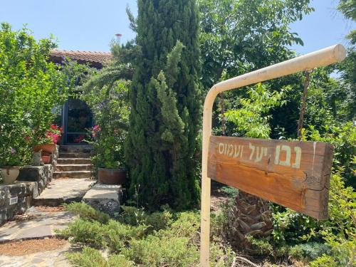 Sha'al Maison | חצר ברמה