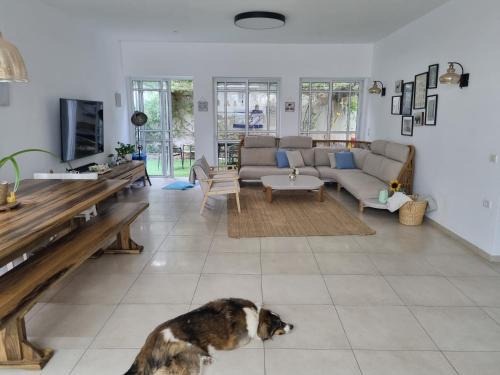 Hod HaSharon Appartement | כמו וילה במרכז השרון