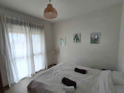 Lehavot HaBashan Appartement | ליד המעיין