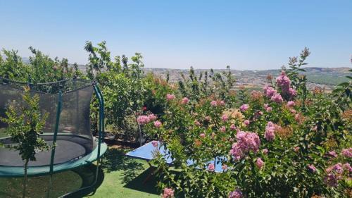 Buq'ata Appartement | נוף הכפר - 6 חדרי אירוח לזוגות ומשפחות עם ג'קוזי משותף