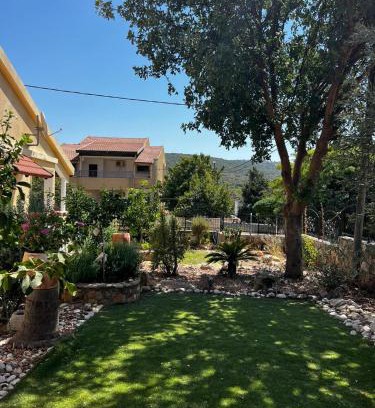 Shezor Hôtel | צימרים בצפון-Amores