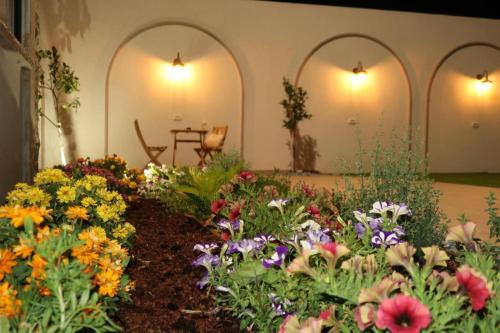 Migdal Cabine | קציר ריזורט