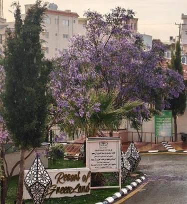 Al Bahah Appartement | شاليهات الارض الخضراء لبيوت العطلات