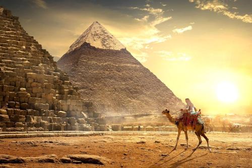 Giza Appartement | شقق فرساي الفندقيه