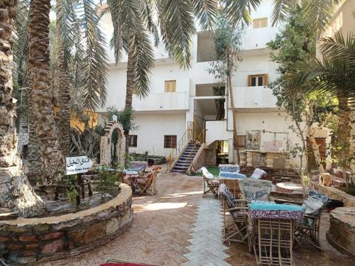 Siwa Hôtel | فندق النخيل