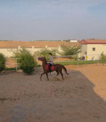 Sharjah Autre | مزرعة العائلة