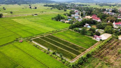 Chiang Khong Maison | ณ บ้านนอก Organic Farmstay