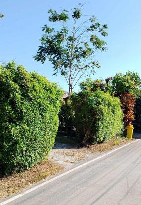 Samut Sakhon Maison | บ้านสโนว์เขาค้อ