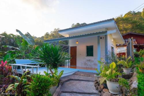 Doi Saket Maison | ปางสูงเฮาส์ pangsung house บ้านกลางดอย