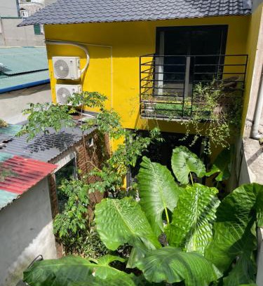 Cat Hai Appartement | Ốc Homestay Cát Bà