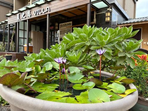Jinning Maison | 夏之戀民宿 可包棟 近金城市區