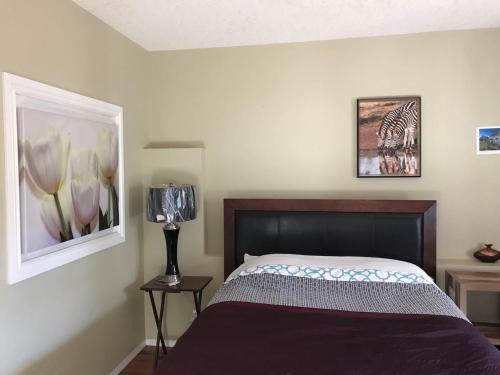 Northwest Calgary Maison | 民宿Ann's House in Calgary
