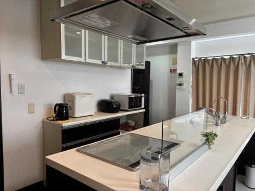 Nagawa Appartement | 褚之屋一号
