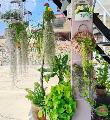 Kluang Maison | 阳台民宿 16 Terrace