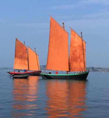 Theix-Noyalo Maison | 1 2 3 Chambres entre la Presqu île de Rhuys et le Golfe du Morbihan