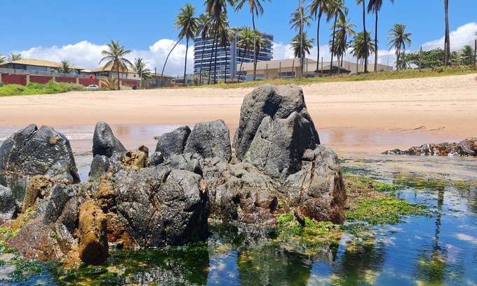 Stella Maris Appartement | 1 Bedroom Apartment with Sea View - Salvador - Work and Leisure at the same time