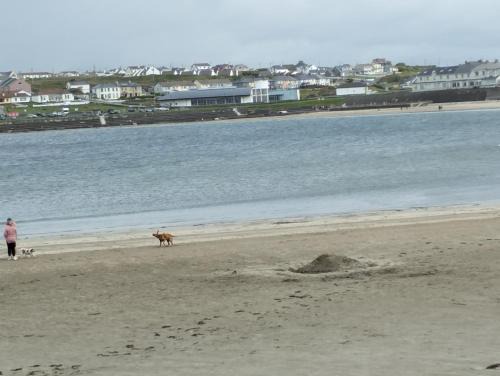 Kilkee Maison | 1 Coirneal chearta