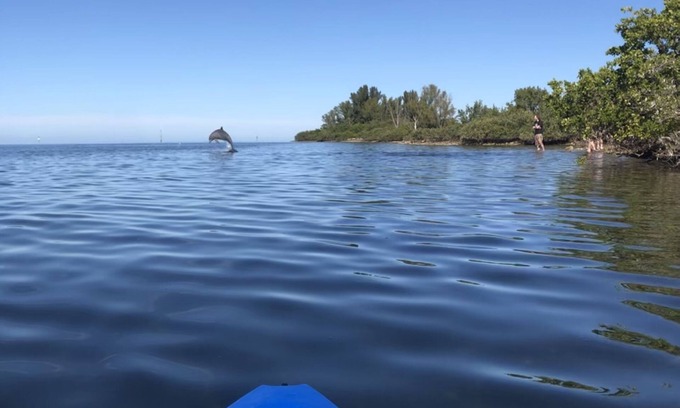 Pleasure Isles Maison | 100% Back Up And Running! Waterfront!