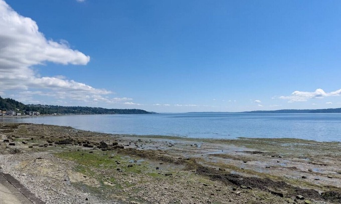 Seaview Appartement | 113 - Cottage Gem ~ Min to Waterfront