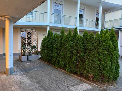 Bad Ischl Appartement | 117 m² Appartement ∙ 1 chambre ∙ 6 personnes