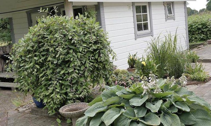 Angelholm Municipality Cabine | 15 m² Chalet ∙ 5 personnes