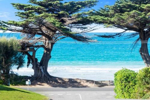 Apollo Bay Maison | 150 Steps FREE WI-FI