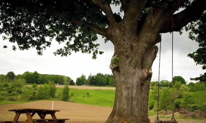 Cortland Autre | 1820's Quaint Rustic Farmhouse