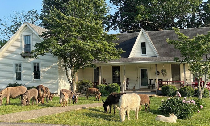 Heltonville Autre | 1884 Farmhouse at Donkeytown Designed for large get togethers!
