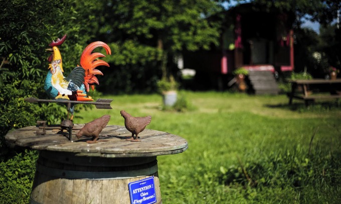 Bourg-sur-Gironde Maison | 1946 "Pacouli" caravan in a wooded meadow