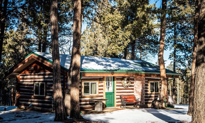 Divide Cabine | 1950's Retro Cabin on 40 Wooded Acres