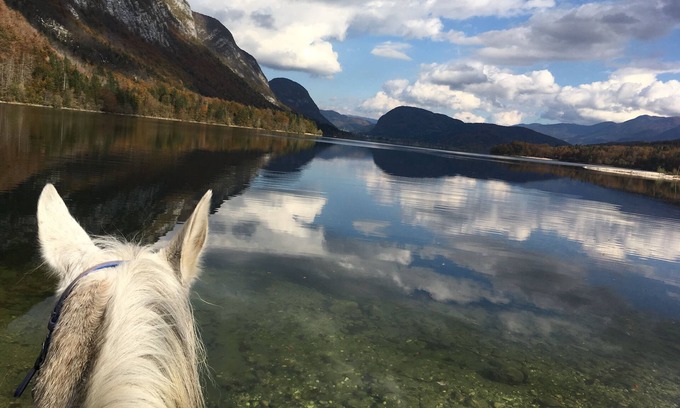 Bohinjska Cesnjica Maison | 1 er étage de la boutique sur le thème de Ranch Ranch