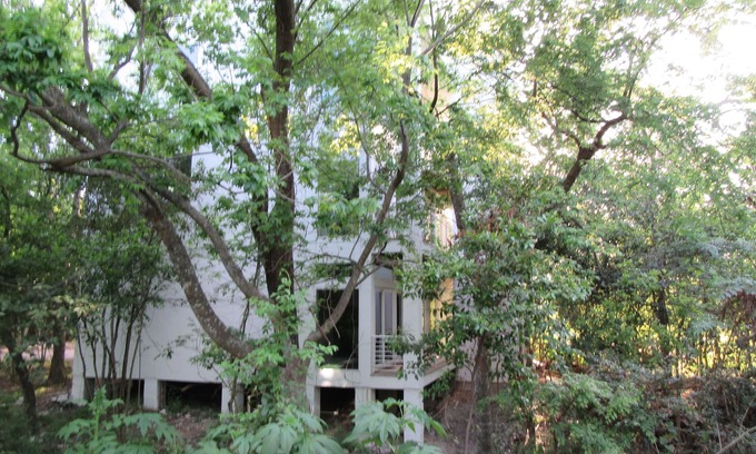 Washington Ave./ Memorial Park Appartement | 1st Flr Apt in Native Woods, à côté de Bayou Trails, Washington St / Heights Area