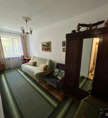 Truskavets Appartement | 2 кімнатна квартира Трускавець,поруч центр та Дельфінарій