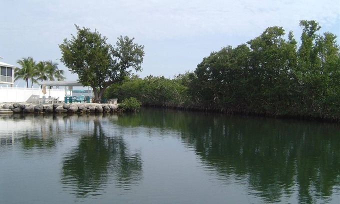 Cross Key Waterways Maison | 2/2 Oceanside house within walking distance to Pennekamp state park