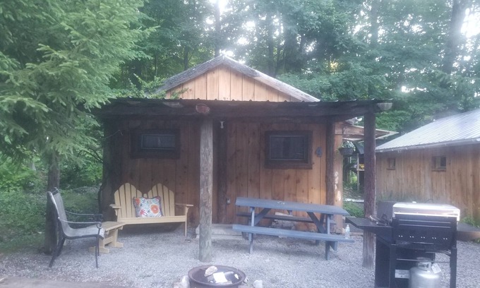 Trumansburg Cabine | 2 lit, 1 propriété du lac de bain!