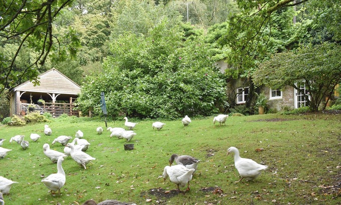 Crowborough Cottage | 2 bedroom accommodation in Crowborough